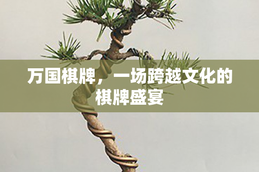 万国棋牌，一场跨越文化的棋牌盛宴