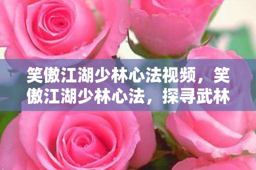 笑傲江湖少林心法视频，笑傲江湖少林心法，探寻武林的至高奥秘