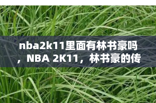 nba2k11里面有林书豪吗，NBA 2K11，林书豪的传奇之路