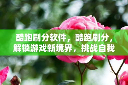 酷跑刷分软件，酷跑刷分，解锁游戏新境界，挑战自我极限