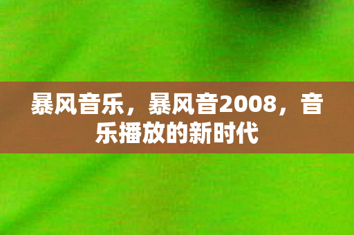 暴风音乐，暴风音2008，音乐播放的新时代