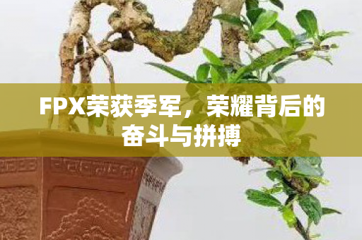 FPX荣获季军,荣耀背后的奋斗与拼搏 FPX荣获季军,荣耀背后的奋斗与拼搏