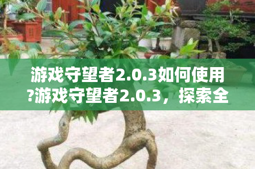 游戏守望者2.0.3如何使用?游戏守望者2.0.3，探索全新游戏体验的守护者