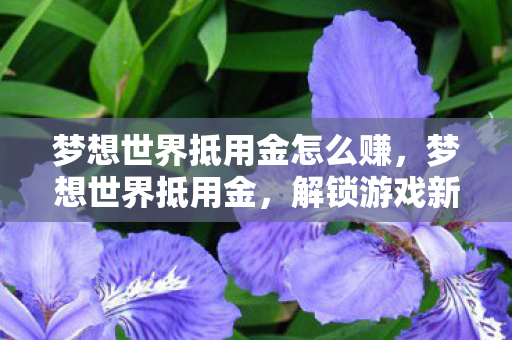 梦想世界抵用金怎么赚,梦想世界抵用金,解锁游戏新世界的钥匙 梦想世界抵用金怎么赚,梦想世界抵用金,解锁游戏新世界的钥匙
