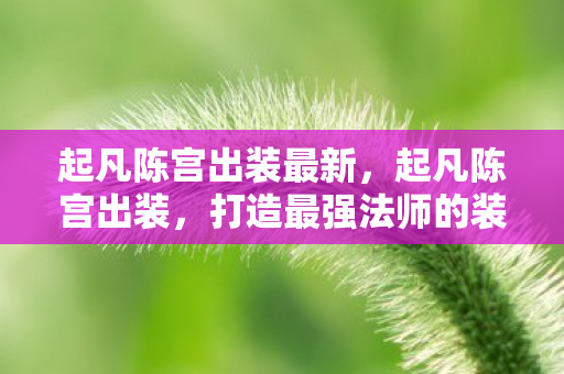 起凡陈宫出装最新，起凡陈宫出装，打造最强法师的装备指南