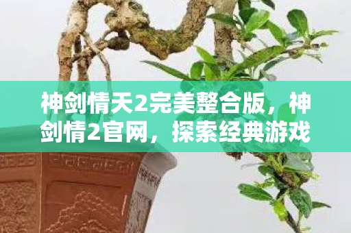 神剑情天2完美整合版，神剑情2官网，探索经典游戏的魅力