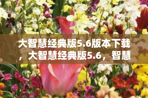 大智慧经典版5.6版本下载，大智慧经典版5.6，智慧投资，从这里开始