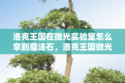 洛克王国在微光实验室怎么拿到魔法石，洛克王国微光实验室探索之旅