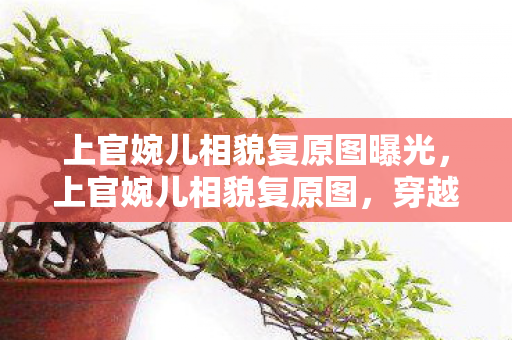 上官婉儿相貌复原图曝光,上官婉儿相貌复原图,穿越千年的美丽传奇 上官婉儿相貌复原图曝光,上官婉儿相貌复原图,穿越千年的美丽传奇
