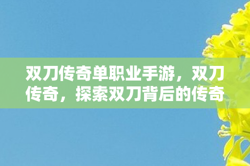 双刀传奇单职业手游，双刀传奇，探索双刀背后的传奇故事