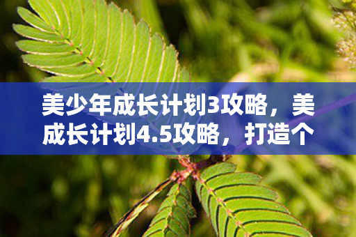 美少年成长计划3攻略，美成长计划4.5攻略，打造个人魅力与职业发展的双赢之路