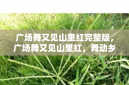 广场舞又见山里红完整版，广场舞又见山里红，舞动乡村的欢乐旋律