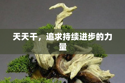 天天干,追求持续进步的力量 天天干,追求持续进步的力量