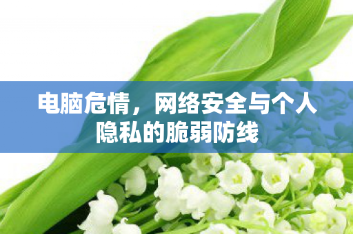 电脑危情，网络安全与个人隐私的脆弱防线