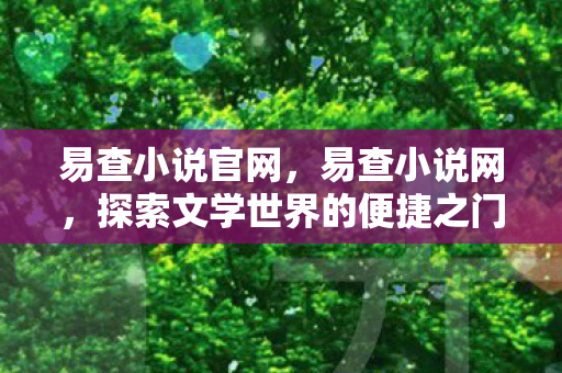 易查小说官网，易查小说网，探索文学世界的便捷之门
