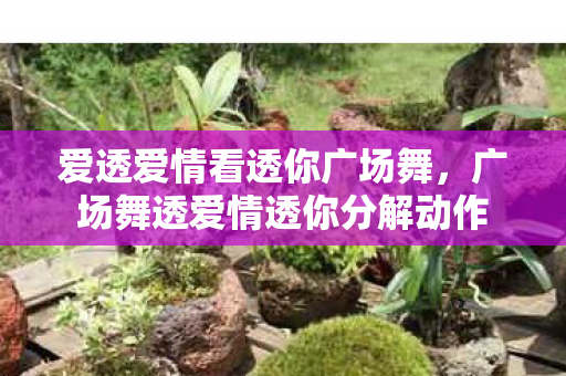 爱透爱情看透你广场舞,广场舞透爱情透你分解动作 爱透爱情看透你广场舞,广场舞透爱情透你分解动作