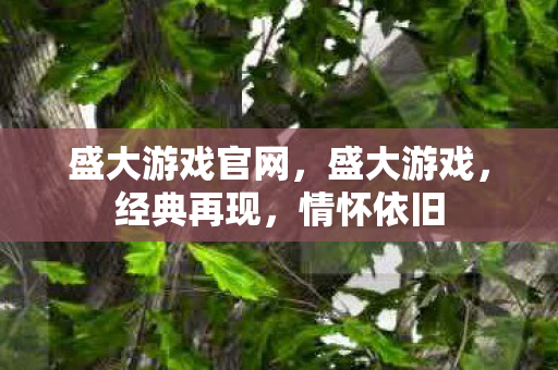 盛大游戏官网，盛大游戏，经典再现，情怀依旧