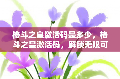 格斗之皇激活码是多少，格斗之皇激活码，解锁无限可能的神秘钥匙