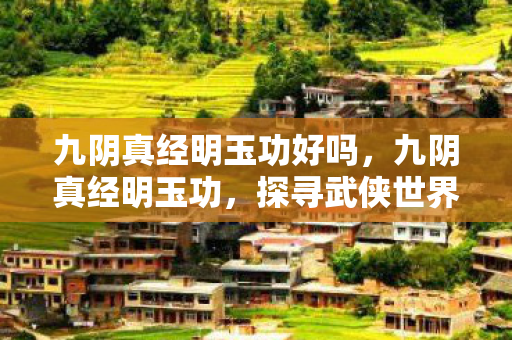 九阴真经明玉功好吗，九阴真经明玉功，探寻武侠世界的内功奥秘