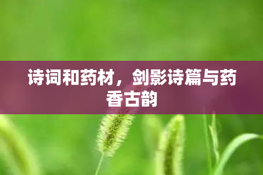 诗词和药材，剑影诗篇与药香古韵