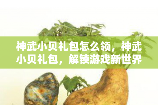 神武小贝礼包怎么领，神武小贝礼包，解锁游戏新世界的钥匙