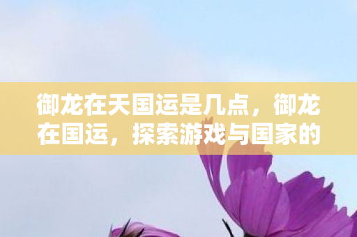 御龙在天国运是几点，御龙在国运，探索游戏与国家的文化纽带