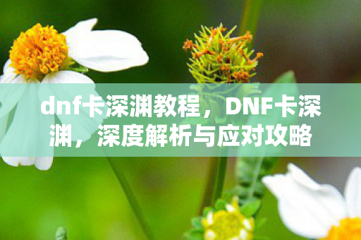 dnf卡深渊教程,DNF卡深渊,深度解析与应对攻略 dnf卡深渊教程,DNF卡深渊,深度解析与应对攻略