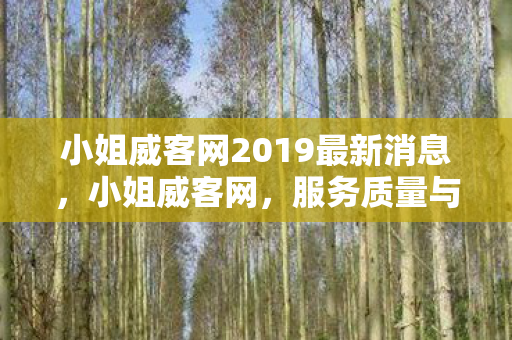 小姐威客网2019最新消息,小姐威客网,服务质量与用户体验的深度剖析 小姐威客网2019最新消息,小姐威客网,服务质量与用户体验的深度剖析