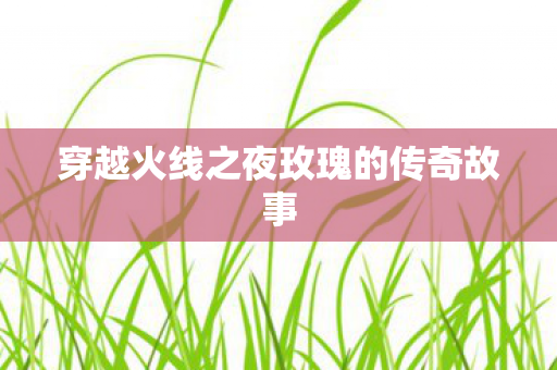穿越火线之夜玫瑰的传奇故事 穿越火线之夜玫瑰的传奇故事