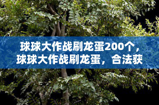 球球大作战刷龙蛋200个,球球大作战刷龙蛋,合法获取资源的新途径 球球大作战刷龙蛋200个,球球大作战刷龙蛋,合法获取资源的新途径