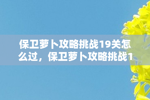 保卫萝卜攻略挑战19关怎么过，保卫萝卜攻略挑战19，策略与技巧的深度解析