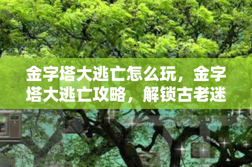 金字塔大逃亡怎么玩，金字塔大逃亡攻略，解锁古老迷宫的终极挑战