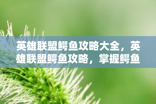 英雄联盟鳄鱼攻略大全，英雄联盟鳄鱼攻略，掌握鳄鱼的强势节奏