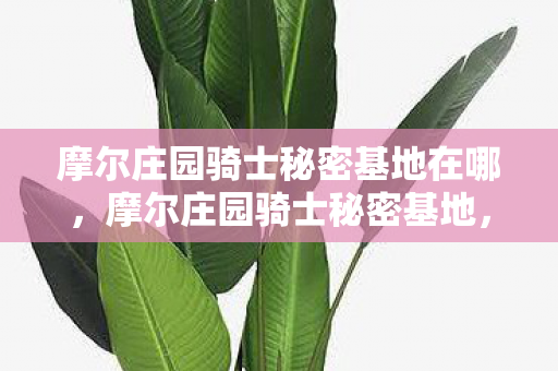 摩尔庄园骑士秘密基地在哪，摩尔庄园骑士秘密基地，探索未知的奇幻之旅