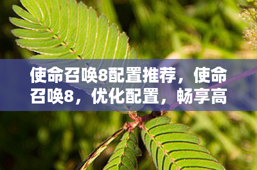 使命召唤8配置推荐，使命召唤8，优化配置，畅享高清游戏体验