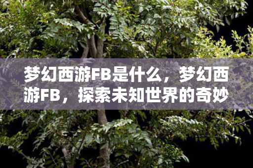 梦幻西游FB是什么，梦幻西游FB，探索未知世界的奇妙之旅