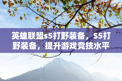 英雄联盟s5打野装备，S5打野装备，提升游戏竞技水平的关键