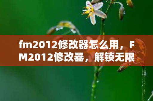fm2012修改器怎么用，FM2012修改器，解锁无限可能的足球管理模拟新体验