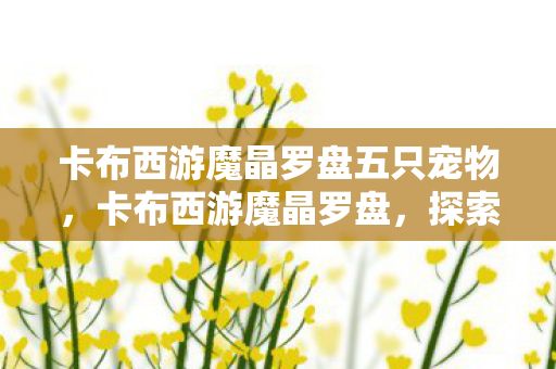 卡布西游魔晶罗盘五只宠物,卡布西游魔晶罗盘,探索未知世界的神秘工具 卡布西游魔晶罗盘五只宠物,卡布西游魔晶罗盘,探索未知世界的神秘工具