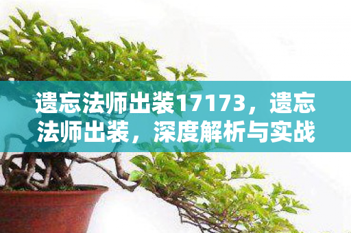遗忘法师出装17173，遗忘法师出装，深度解析与实战应用