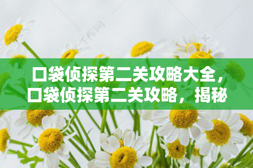 口袋侦探第二关攻略大全，口袋侦探第二关攻略，揭秘关键线索，成功破解案件