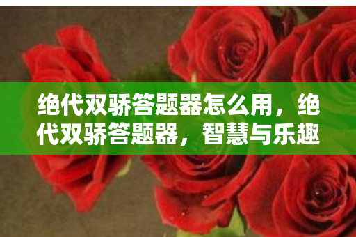 绝代双骄答题器怎么用，绝代双骄答题器，智慧与乐趣的完美结合
