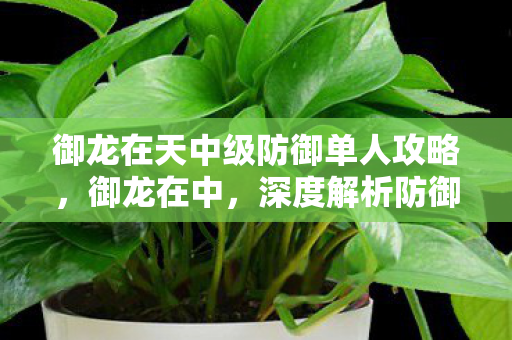 御龙在天中级防御单人攻略，御龙在中，深度解析防御单人的策略与技巧