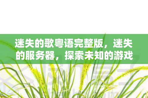 迷失的歌粤语完整版，迷失的服务器，探索未知的游戏世界