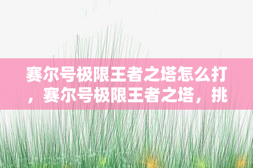 赛尔号极限王者之塔怎么打,赛尔号极限王者之塔,挑战与荣耀的巅峰 赛尔号极限王者之塔怎么打,赛尔号极限王者之塔,挑战与荣耀的巅峰