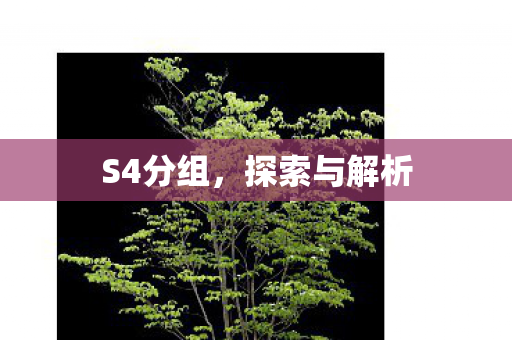 S4分组,探索与解析 S4分组,探索与解析