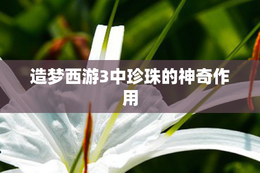 造梦西游3中珍珠的神奇作用 造梦西游3中珍珠的神奇作用