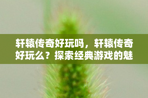 轩辕传奇好玩吗，轩辕传奇好玩么？探索经典游戏的魅力