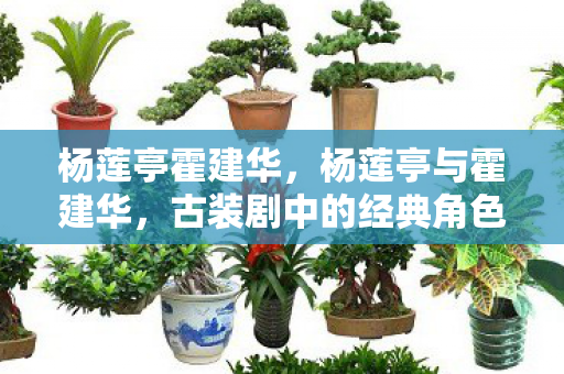 杨莲亭霍建华，杨莲亭与霍建华，古装剧中的经典角色与演员的成长之路