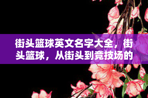 街头篮球英文名字大全，街头篮球，从街头到竞技场的华丽蜕变